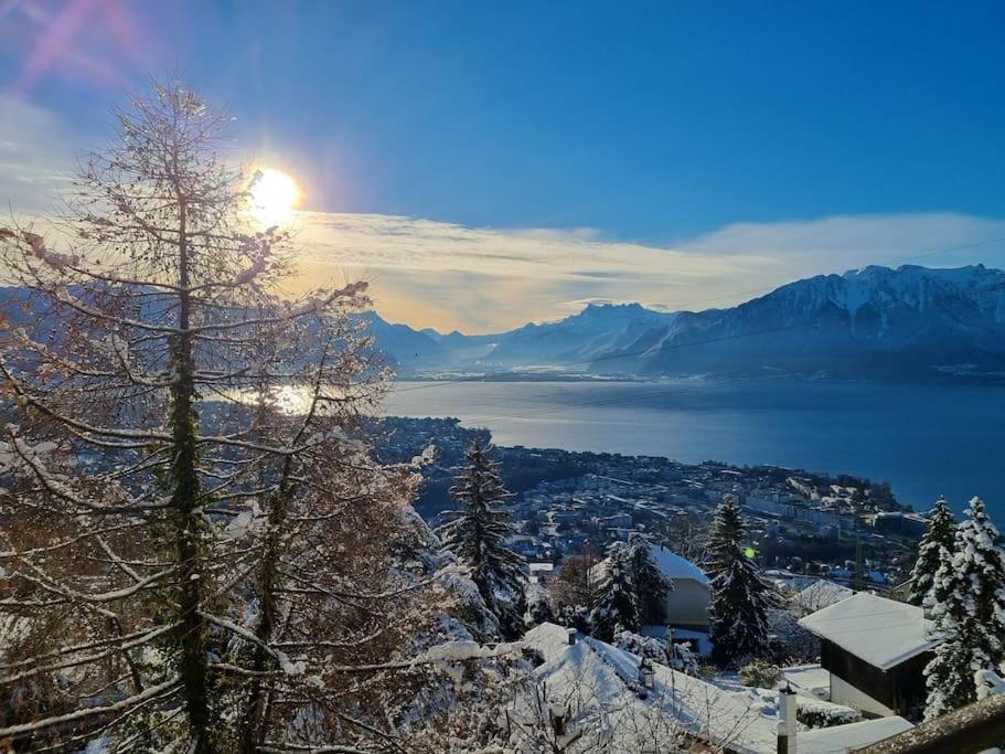 Le Toit De Chardonne - Entre Alpes Et Lac Leman Екстериор снимка