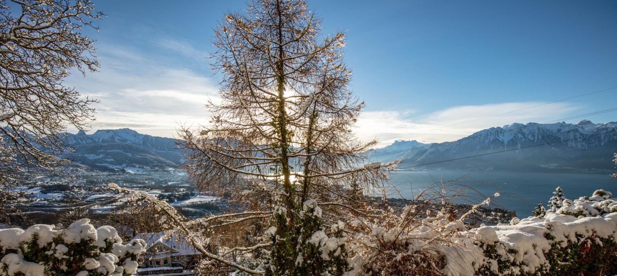 Le Toit De Chardonne - Entre Alpes Et Lac Leman Екстериор снимка